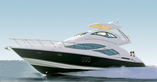Motor Yacht/Cruisers