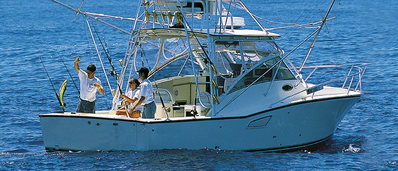 Bateau pour la pêche sportive