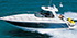 Motor Yacht/Cruiser